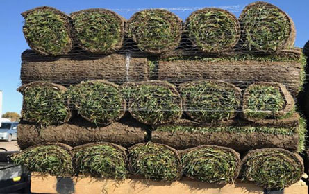 Sod Delivery 80215