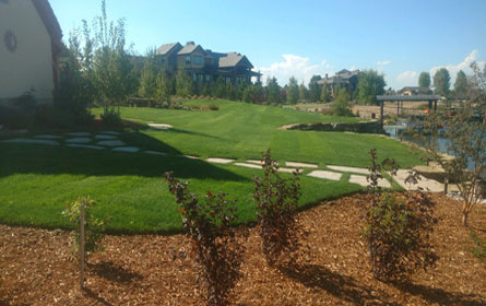 Landscaping Services Boulder Colorado