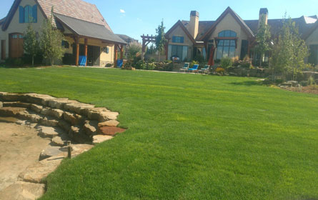 Landscaping Windsor Colorado