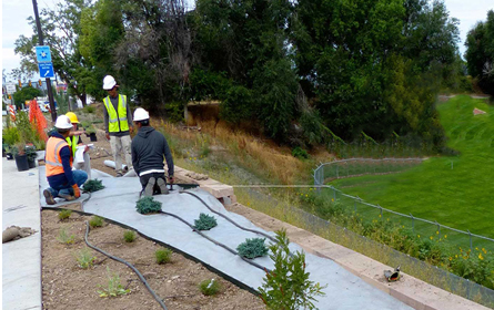 Landscaping Boulder Colorado