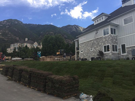 Lawn Installation West Valley City Utah