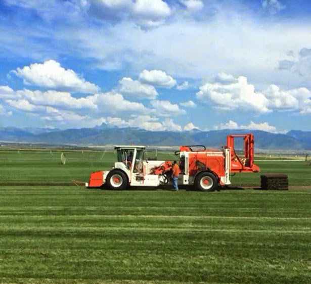 Sod Delivery West Valley City