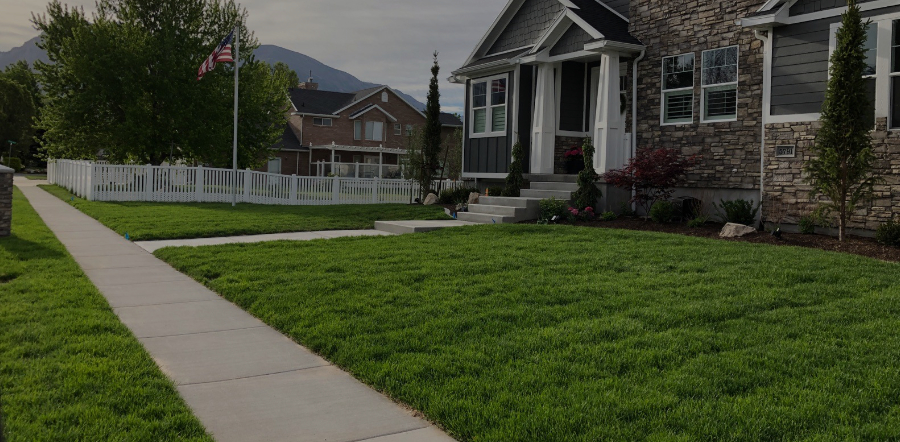 Sod Installation South Jordan